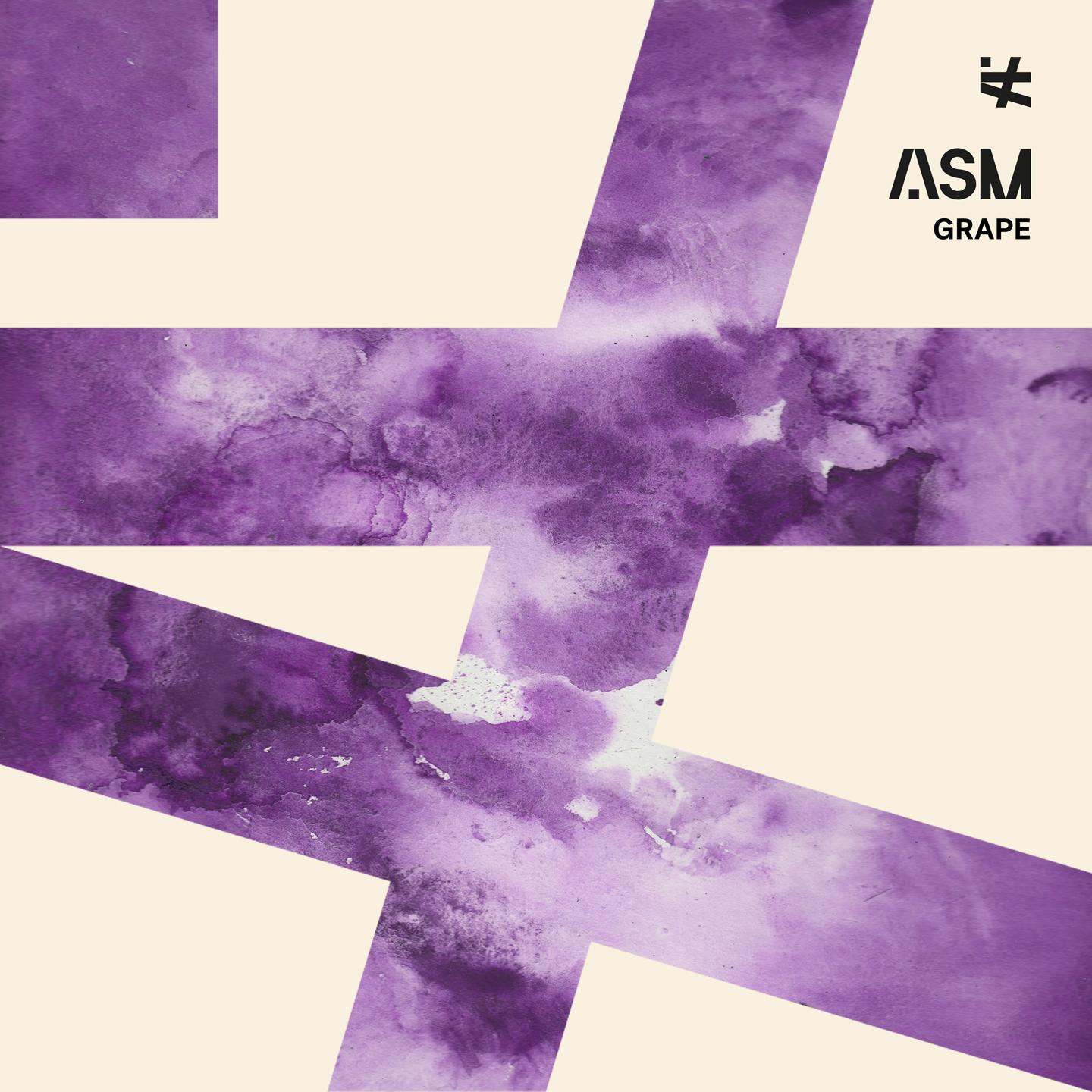 ASM - A State of Mind