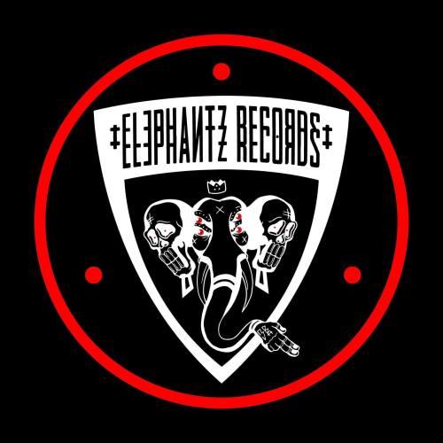 ELECTRO STATION spécial Elephantz Records : l'interview et le mix de DVMBO