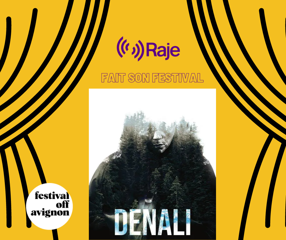 Raje Fait Son Festival /// Denali, interview avec Nicolas Le Bricquir par Pierre Avril