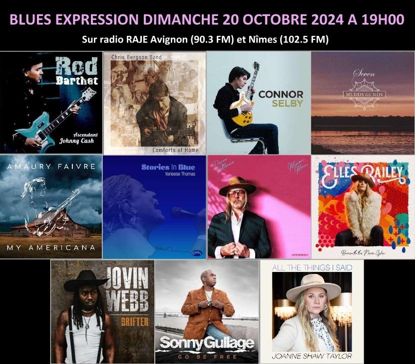 Blues Expression /// Retrouvez Sylvie Declas pour toute l'actualité Blues (concerts, sorties) des semaines à venir