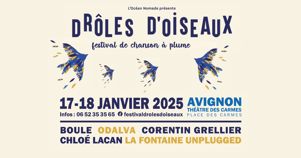 Festival Drôles D'oiseaux à Avignon les 17 & 18 Janvier /// Interview avec Thomas Pitiot