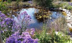 Gagnez vos 2 places au Parc Aoubré pour le Jardin des papillons !