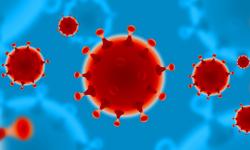 Coronavirus 5/5 Quand s'arrêtera l'épidémie?