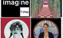 IMAGINE /// Une invitée l'artiste Delphine Dénéréaz, une image, une chanson