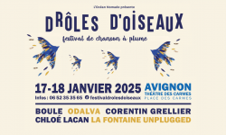 Drôles d'oiseaux Festival à Avignon les 17 & 18 Janvier : Interview de Thomas Pitiot