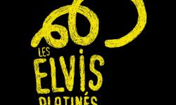 Les Elvis Platinés présentent les Transes Cévenoles.