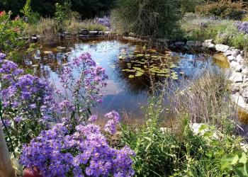 Gagnez vos 2 places au Parc Aoubré pour le Jardin des papillons !