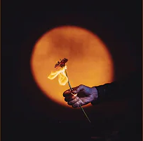 BANDIT BANDIT - Zone 51