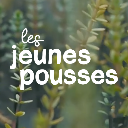 LES JEUNES POUSSES episode artwork