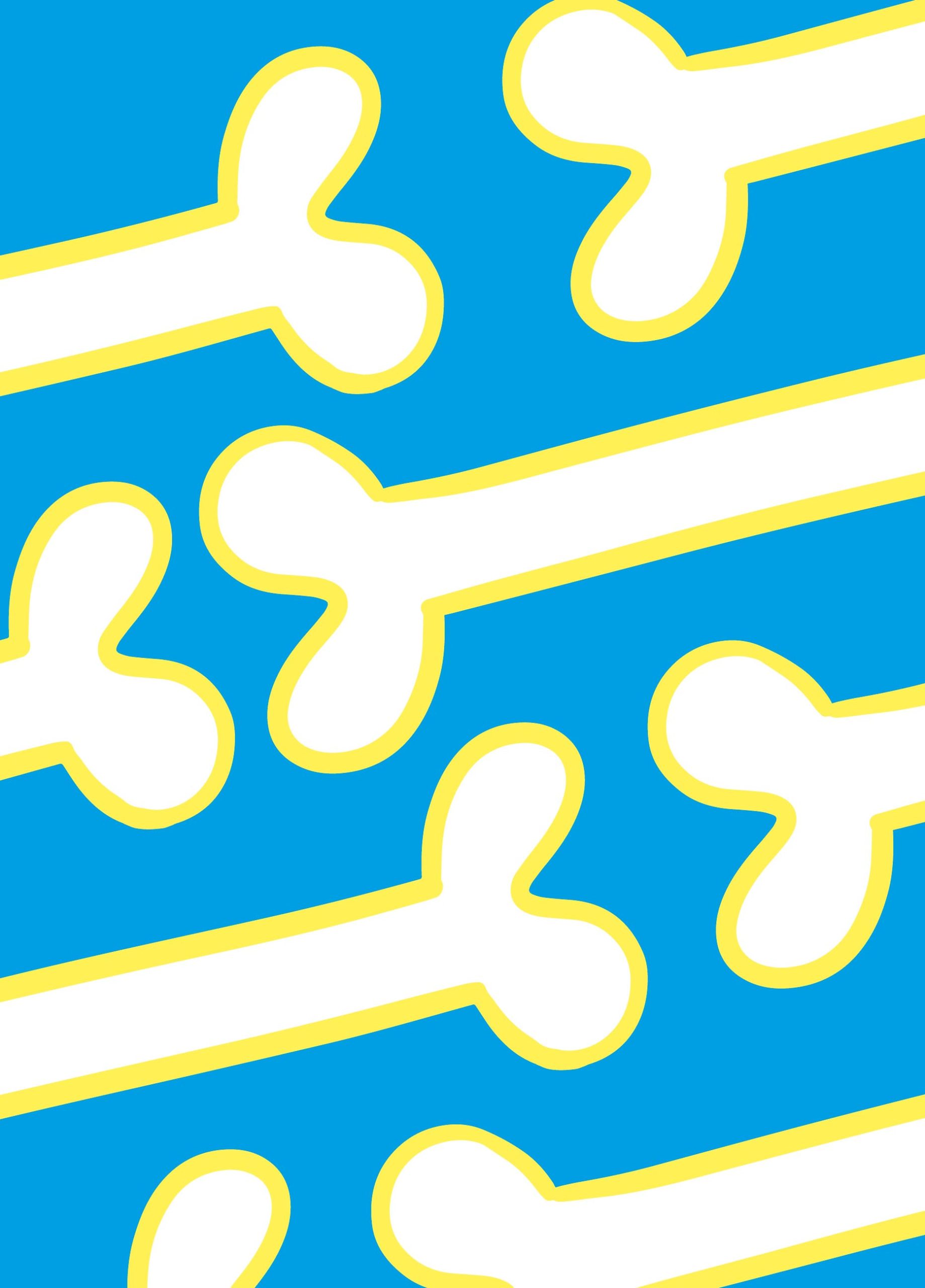 Nîmes S\'Illustre