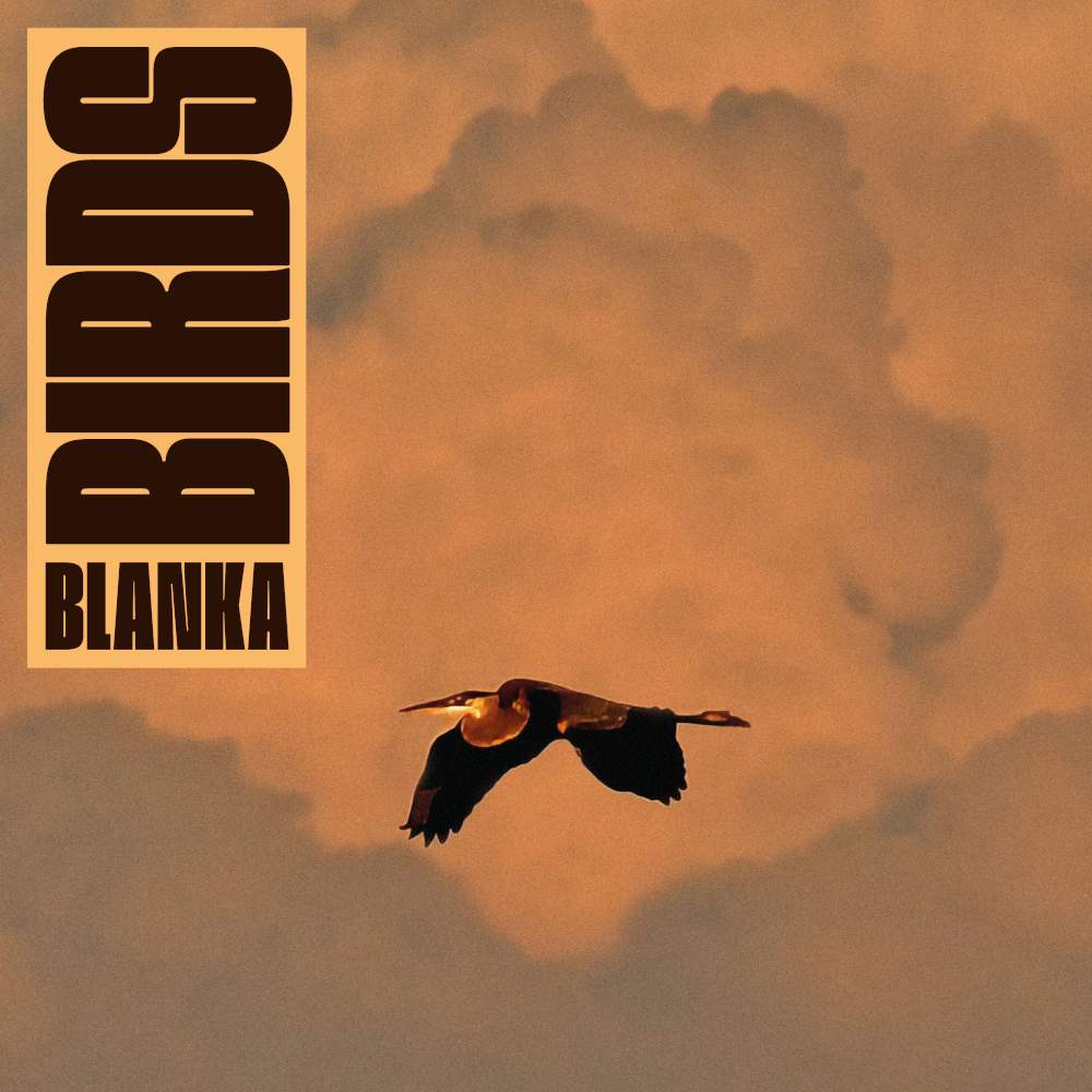 BLANKA - Birds episode artwork