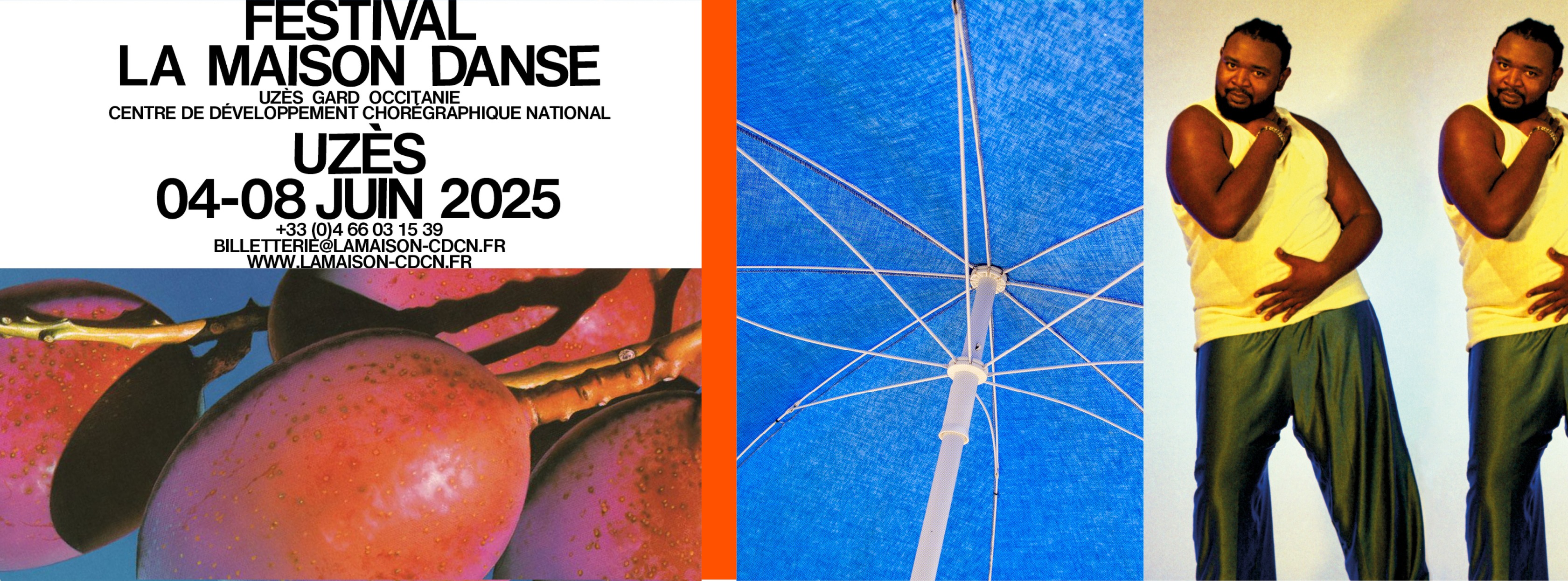 Festival La Maison Danse 2025 episode artwork